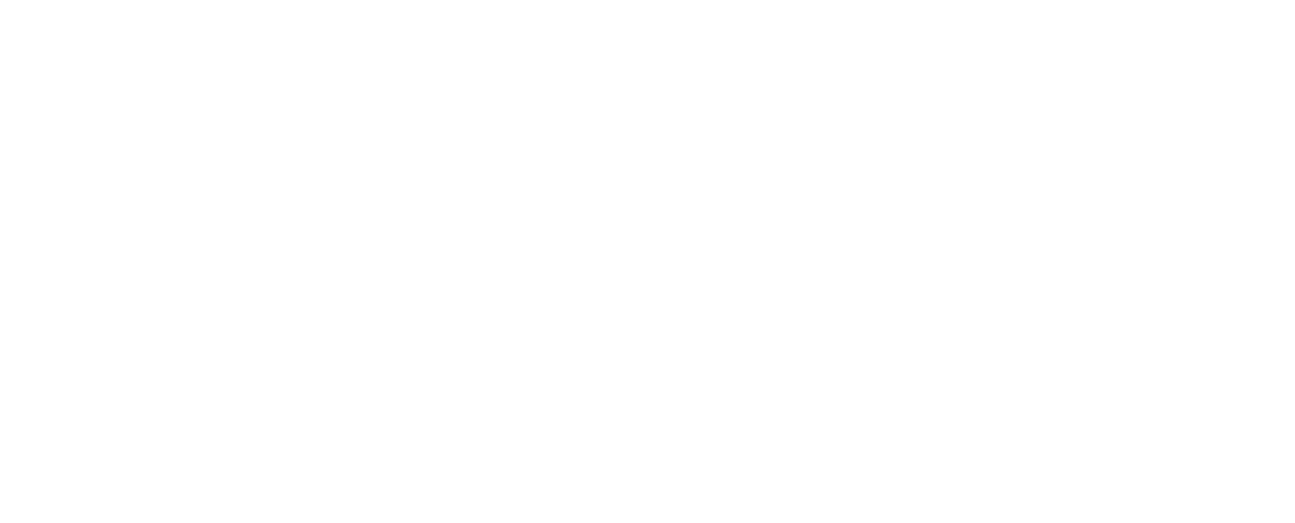 Logo KFZ-Kneißl weiß